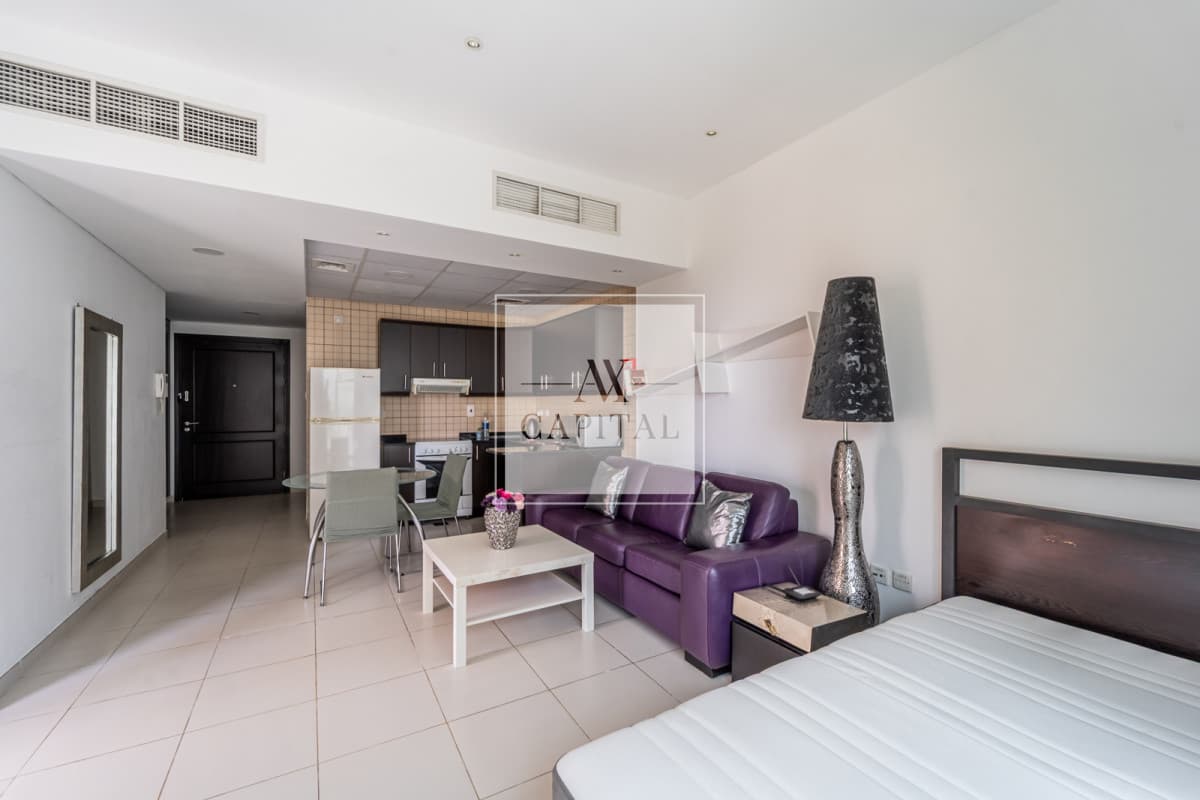 Up to 12 Cheques | Newly Furnished | Ain View - 3
