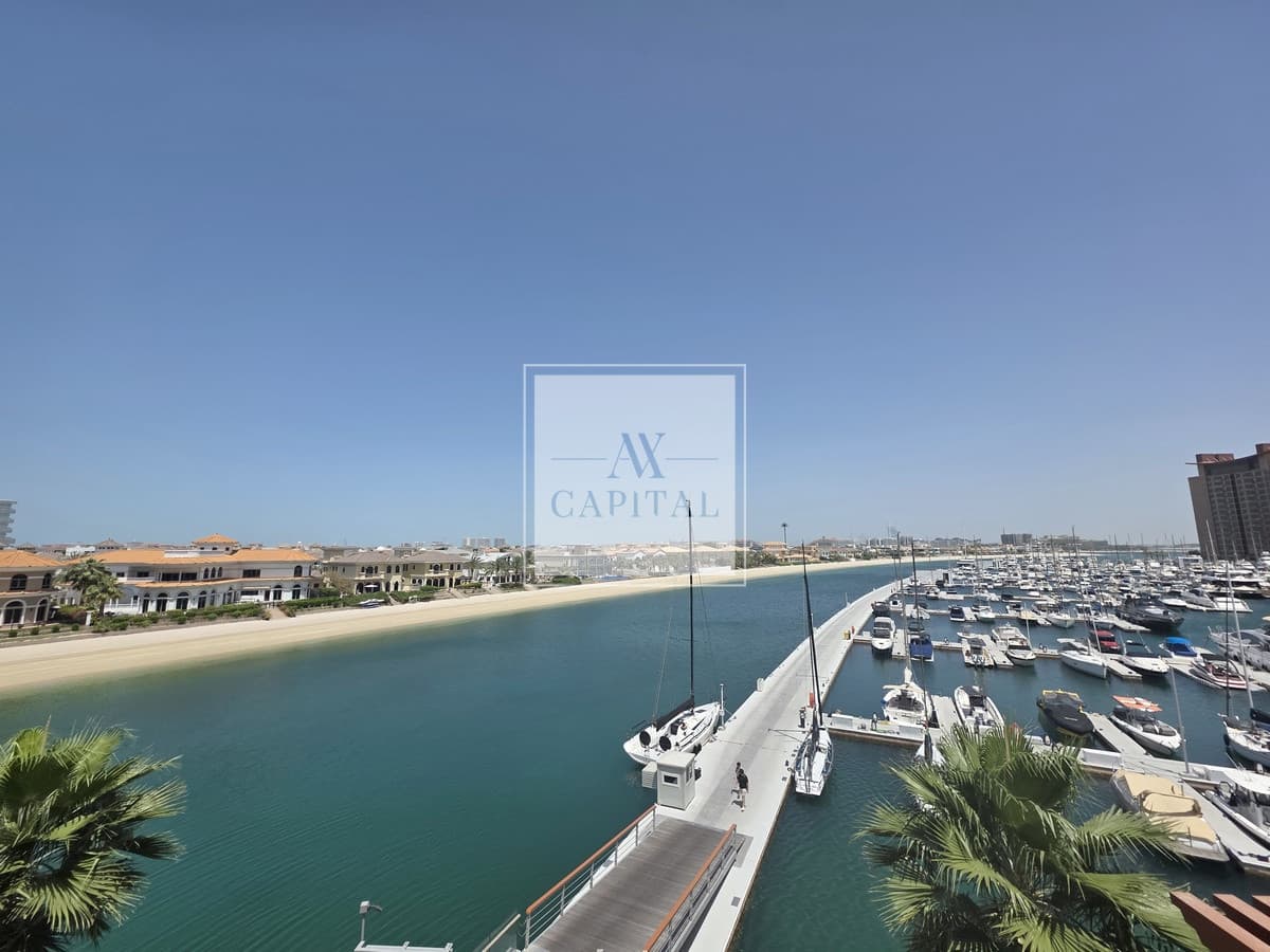Palm Views |  Furnished | Spacious Studio