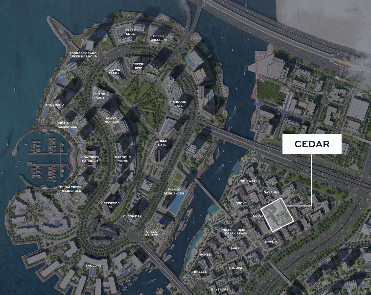 Cedar - 3